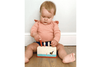 Pop-Up Worm Peg Toy