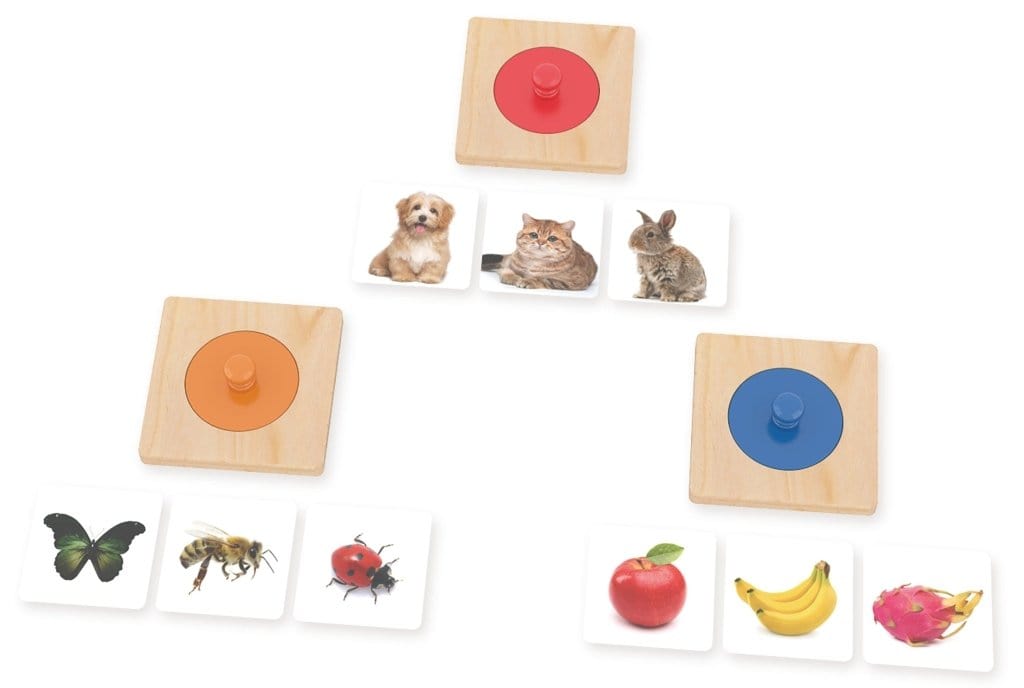 Knob Puzzle Set for Infants and Toddlers