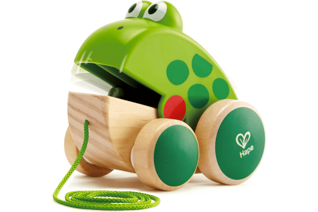 Pull-Along Frog Toy