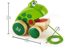 Pull-Along Frog Toy