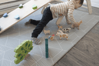 Wooden Lion Figure