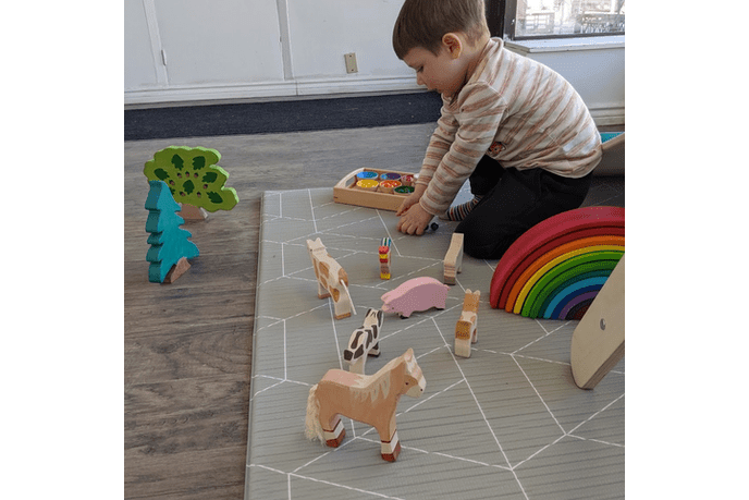 Wooden Pig Figure