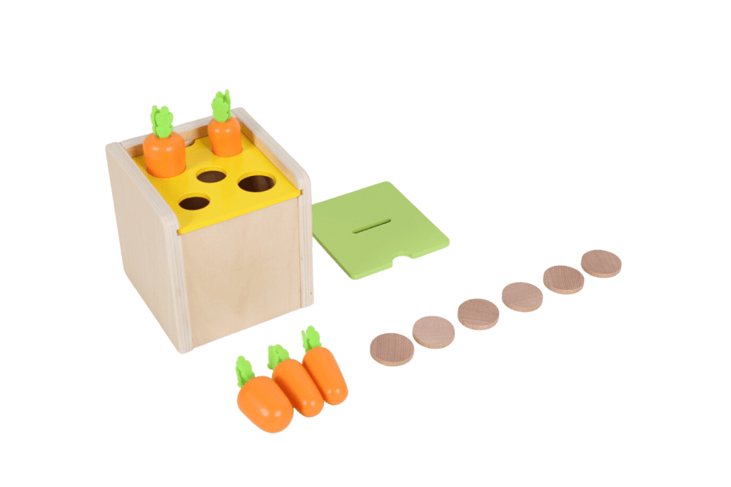 Wooden Activity Posting Box with 2 Interchangeable Lids